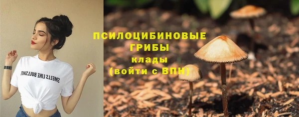 дживик Покровск