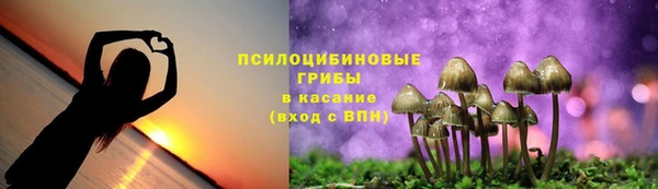 дживик Покровск