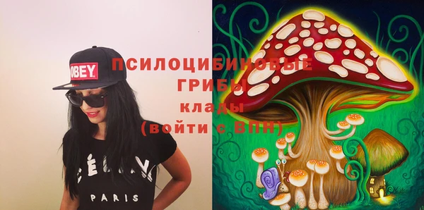 дмт Весьегонск