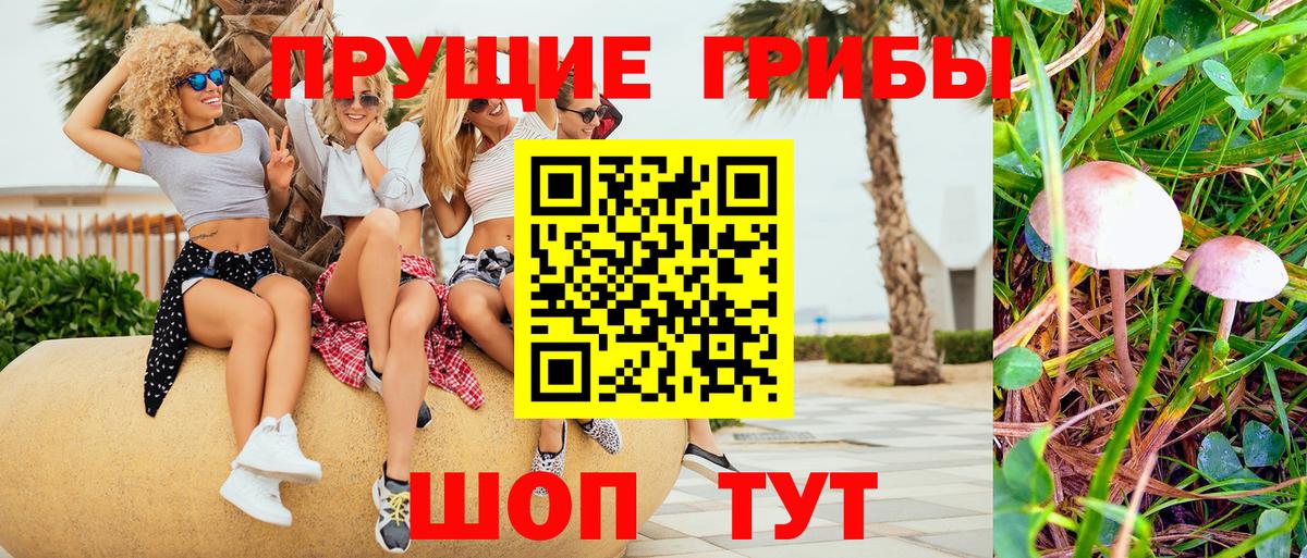 Галлюциногенные грибы Psilocybine cubensis Тавда